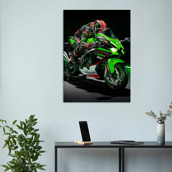 Kawasaki Ninja ZX10R metsterr 40104 Metsterr