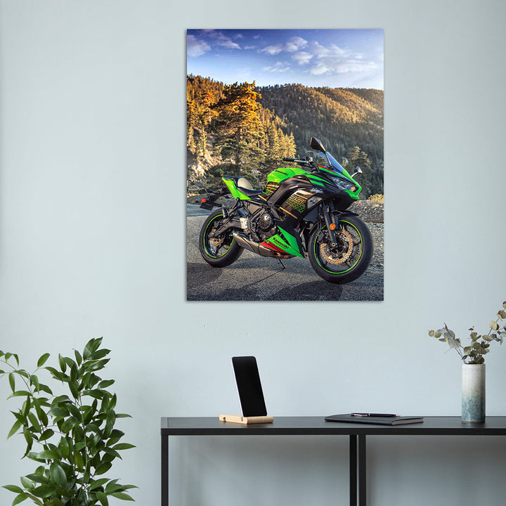 Bike metsterr 40113 Metsterr