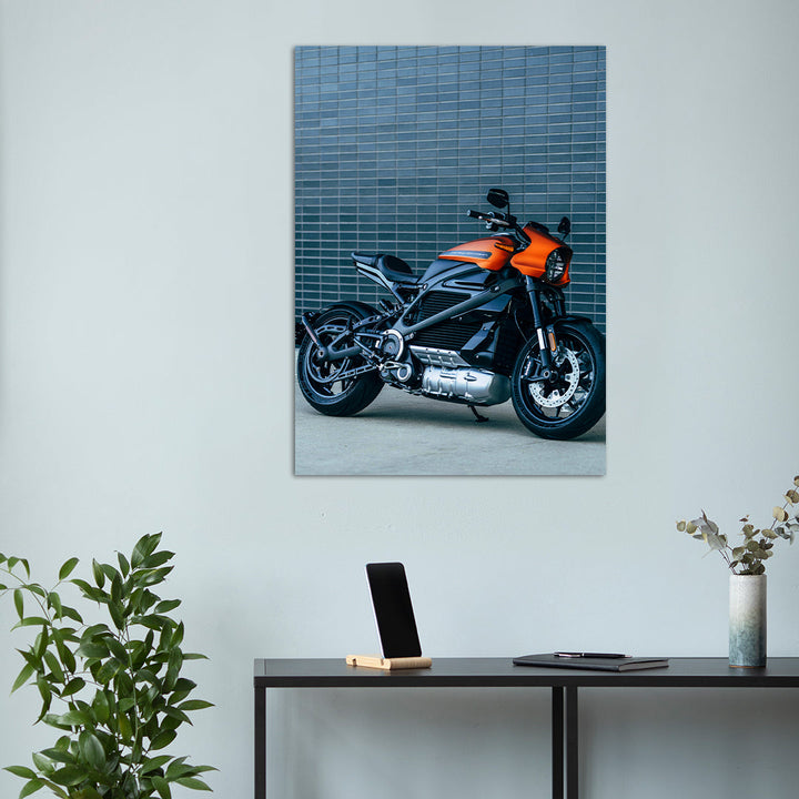 Bike metsterr 40115 Metsterr