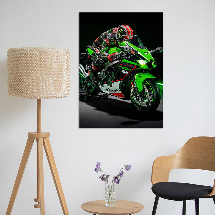 Kawasaki Ninja ZX10R metsterr 40104 Metsterr
