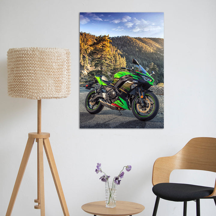Bike metsterr 40113 Metsterr