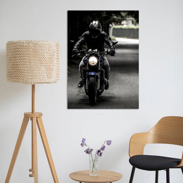 Bike Rider metsterr 40110 Metsterr